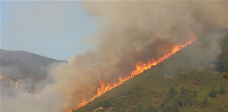 Un incendio en Caín obliga a cortar la Ruta del Cares 