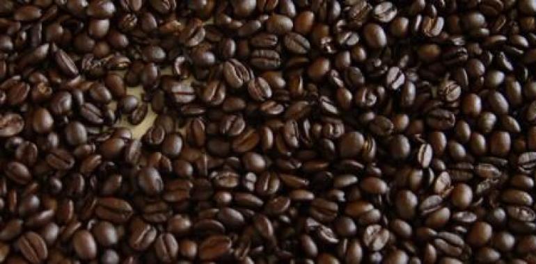 México amplía su participación en la Organización Internacional del Café