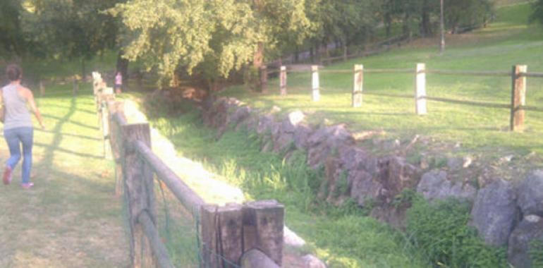 Quejas vecinales por abandono municipal en el Parque del Oeste, en Oviedo