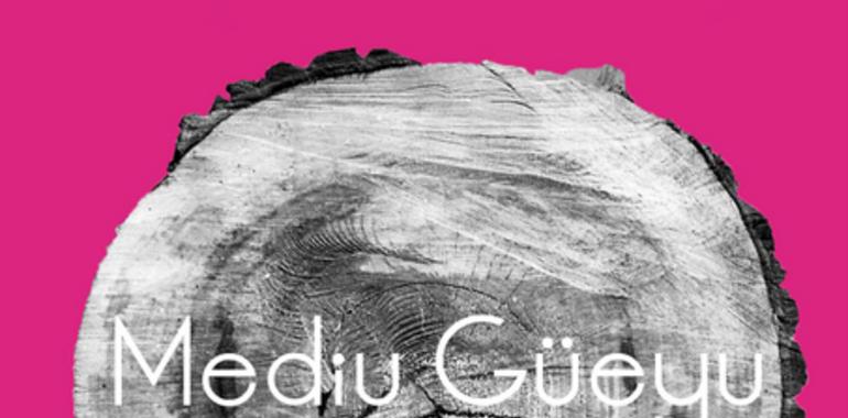 Mediu Güeyu Festival de Cine, este fin de semana en Villaviciosa