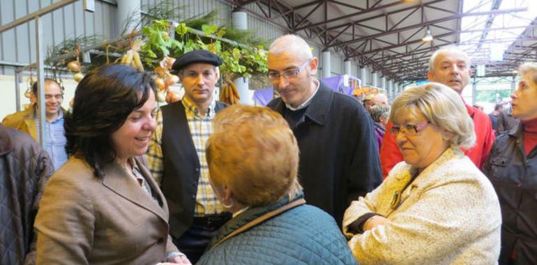 Consejería adelantará 30 millones de euros del pago único a agricultores y ganaderos