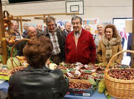 Cascos propone la marca de calidad Castaña Asturiana para desarrollar su producción en el país