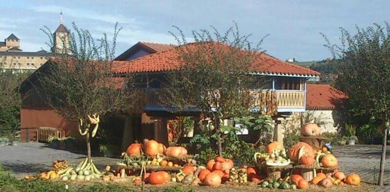 El Botánico le da calabazas a la Fundación Banco de Alimentos de Asturias 