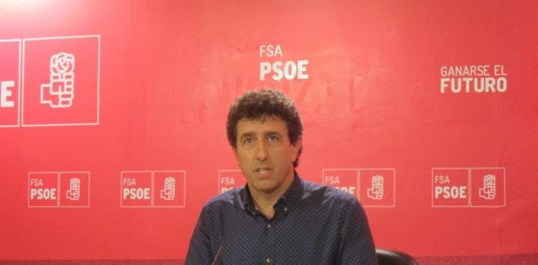 La FSA apela a la "altura de miras" de IU y UPyD para negociar los presupuestos