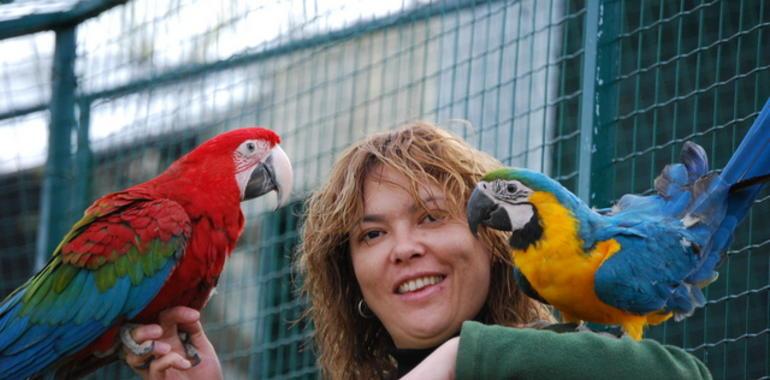 Enseñan a hablar con los loros en el Zoo de Oviedo