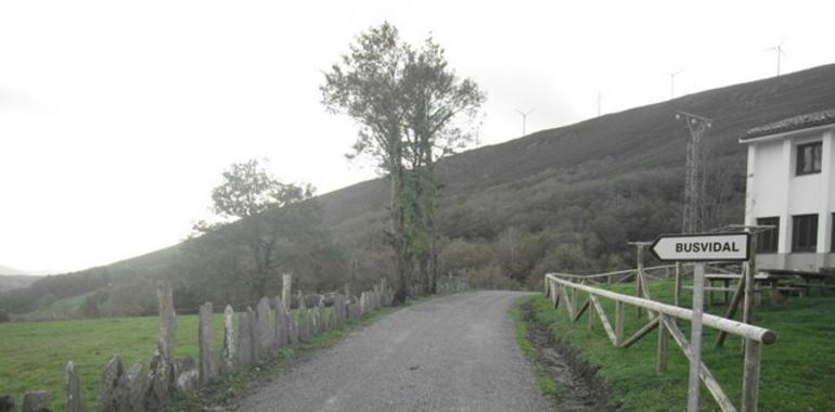 Finalizaron las obras de mejora de la carretera de Busvidal