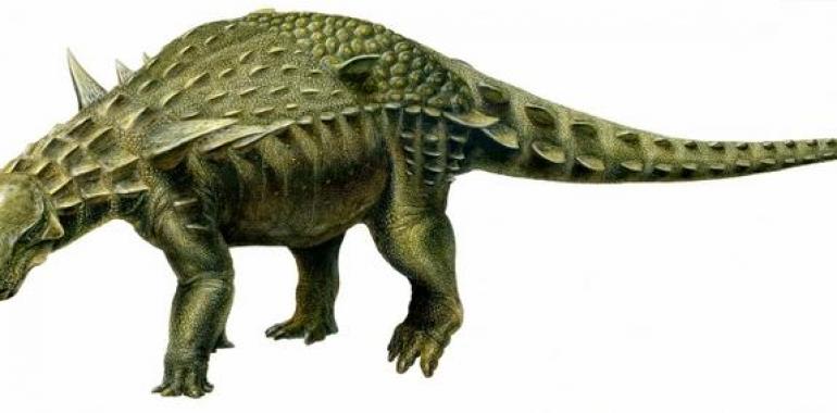  El dinosaurio acorazado más completo de Europa es vecino de Ariño