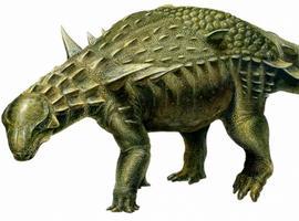  El dinosaurio acorazado más completo de Europa es \vecino\ de Ariño