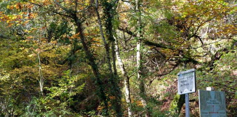 La Federación de Montaña propón descatalogar mediu centenar de rutes senderistes