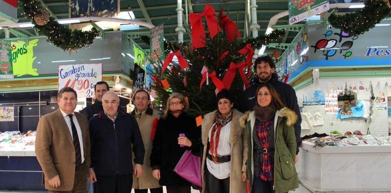 El Oviedo Baloncesto coloca sus sueños en El Fontán