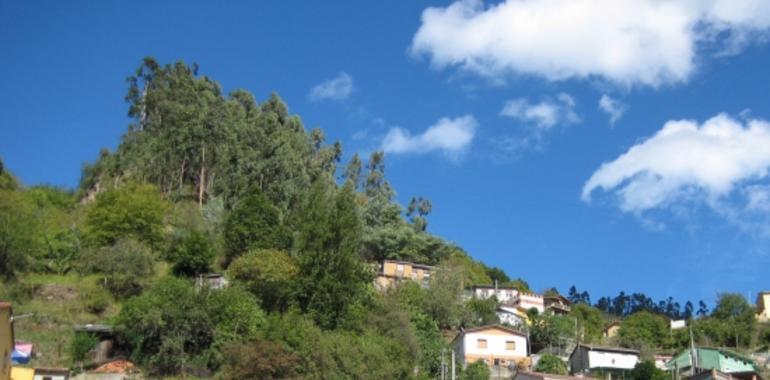 La calidad del aire mejora en San Martín del Rey Aurelio en los últimos siete años