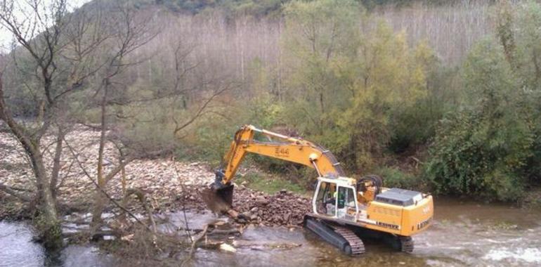 CE admite denuncia por dragados en los ríos asturianos que ponen en peligro especies autóctonas