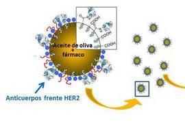 Nanocápsulas antitumorales con aceite de oliva en líneas celulares de cáncer de mama