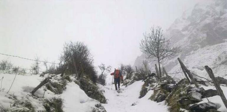 Cuatro puertos de montaña cerrados y quince con cadenas en Asturias