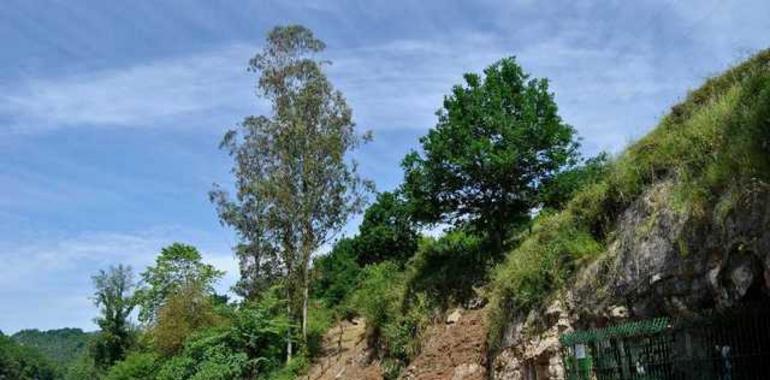 Asturies ConBici: excursión domingo 23 de febrero