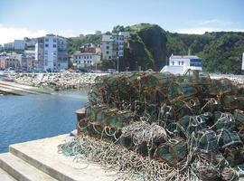 Roces alerta de \"un grave problema de abandono\" en los puertos asturianos