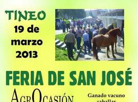 Doble cita agroganadera en Tineo con las ferias de San José y Agrocasión