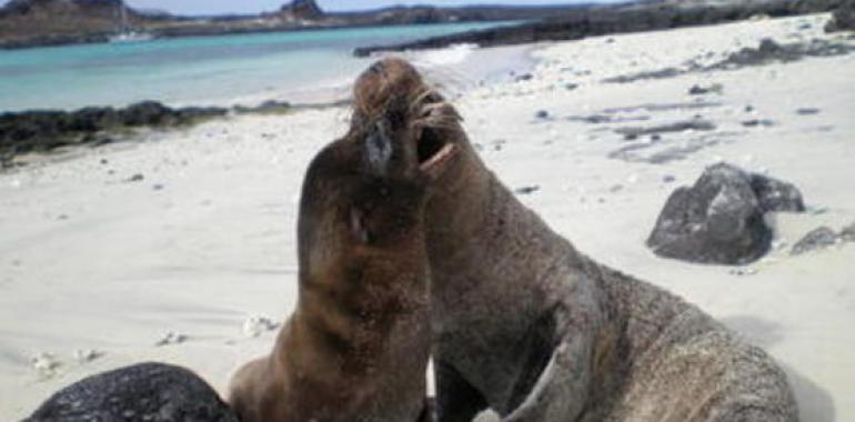 Cumbre de la espeleología mundial en Galápagos