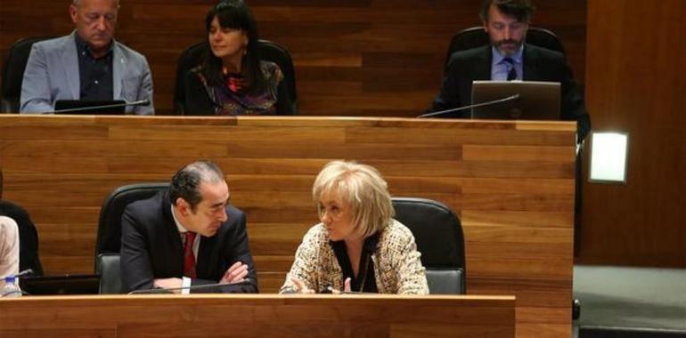 Coto: “No es una sorpresa que el PPSOE siga siendo la mayoría política natural de Asturias"