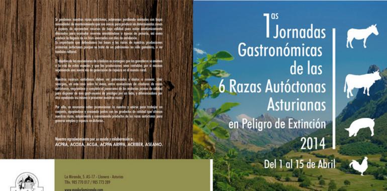 I Jornadas gastronómicas de las razas asturianas en peligro de extinción