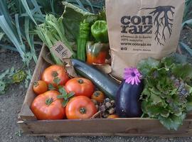 Jornada en Gijón sobre la agroecología en la escuela