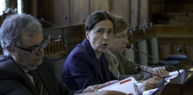 Carcedo defiende la necesidad de las leyes de crédito extraordinario