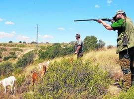 Sin licencia de caza durante 10 años por intentar matar a un venado ilegalmente