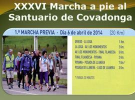 Caminata preparatoria para la Marcha a Covadonga del Centro Asturiano 