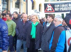 El PP acusa al Ejecutivo asturiano de defender al lobo en lugar de a los ganaderos