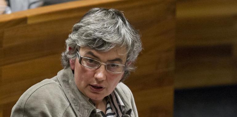 Ana González acusa al PP de “mentir” sobre las obras del CP Carmen Ruiz Tilve de Oviedo