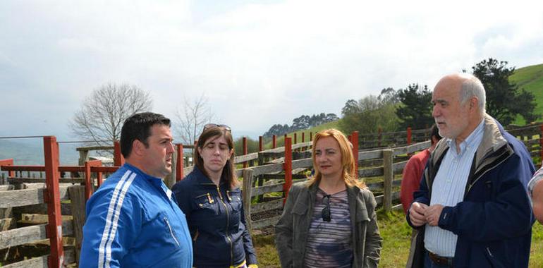 Agroganadería invierte euros 130.000 euros en obras forestales en Piloña 