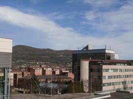 Coordinadora Ecoloxista alerta de un aumento de la contaminación en Oviedo