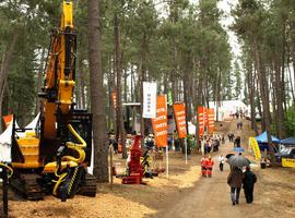 Tineo ingresa en la Forestry Demo Fairs Network