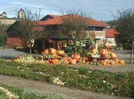 Pintura y Naturaleza en el Jardín Botánico de Gijón