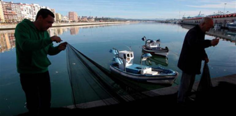 El Ministerio de Agricultura logra un incremento de la cuota de boquerón tras alcanzar un acuerdo con Portugal