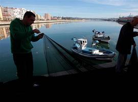 El Ministerio de Agricultura logra un incremento de la cuota de boquerón tras alcanzar un acuerdo con Portugal