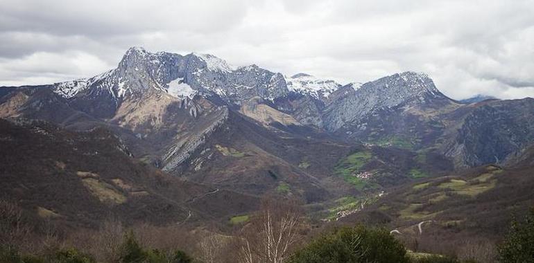 Los ecologistas reclaman más agilidad en los planes de protección y gestión del Oriente asturiano