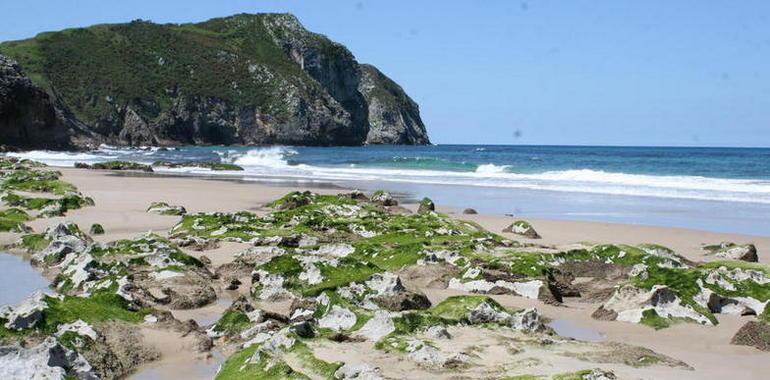 La arena de las playas asturianas empieza su gira en el Museo Marítimo de Luanco