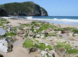 La arena de las playas asturianas empieza su gira en el Museo Marítimo de Luanco