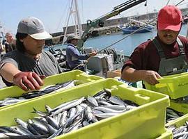 España recibirá más de 1.160 millones del Fondo Europeo Marítimo de la Pesca