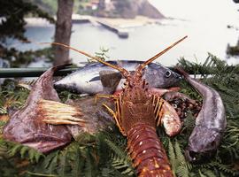 660 participantes en el primer finde de las “XIII Jornadas Gastronómicas del Marisco de Llanes” 