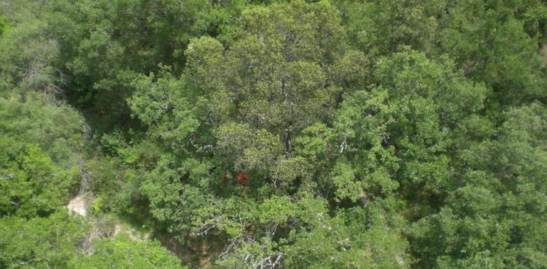 Rescatan a un ciclista accidentado en la cascada de la Mea