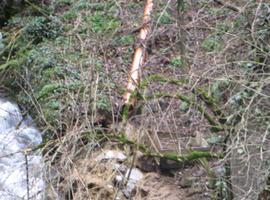 El Ayuntamiento de Somiedo es sancionado por vertidos de aguas residuales en el Parque Natural