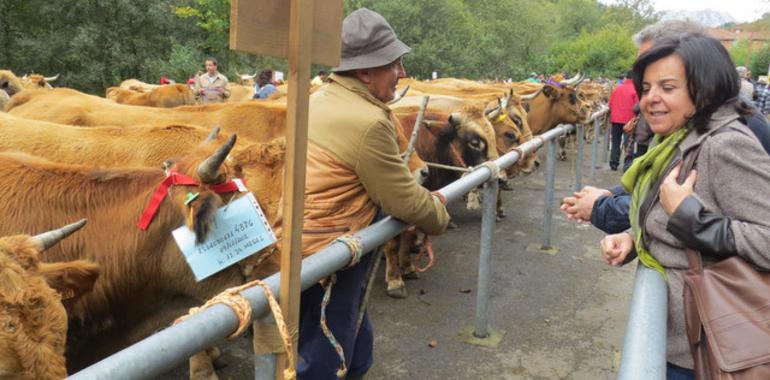 #Foro denuncia intentos de politizar la #IGP T#ernera #Asturiana por la Consejería