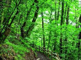 El Grupo de Montaña Ultra de Moreda velará por las rutas de senderismo del concejo