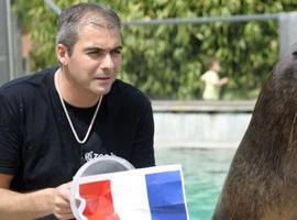 León marino de zoológico augura triunfo de selección francesa frente a Ecuador  