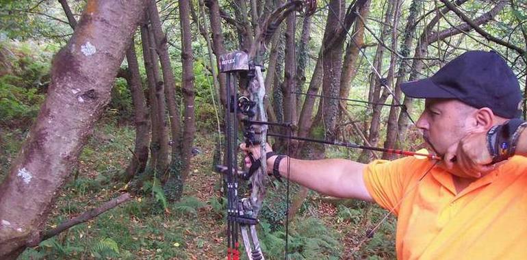 160 arqueros se dan cita en Villaviciosa en el Campeonato de España de Tiro con Arco 3d