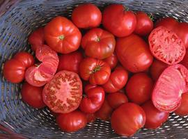 Los tomates de campo contienen más vitamina E