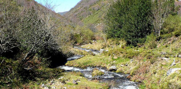 Foro duda que el Principado aplique los Instrumentos de Gestión de los espacios naturales