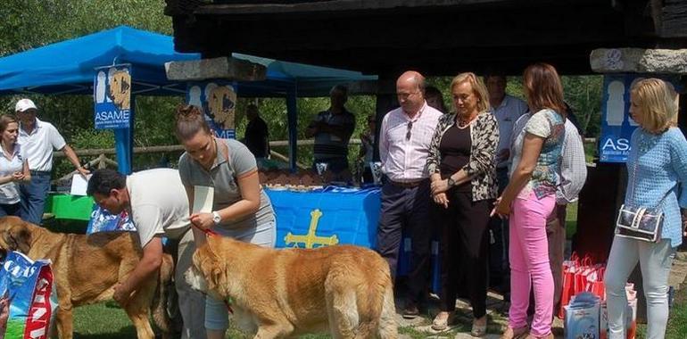 Mercedes Fernández insta a "exprimir como un limón" el turismo en Asturias